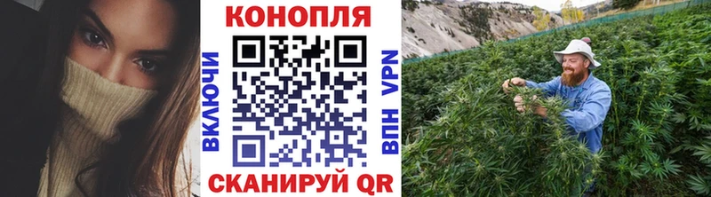 Продажа наркотиков Остров Амфетамин  КОКАИН  МЕФ  МЕТАДОН  ГАШ  А ПВП  Конопля 
