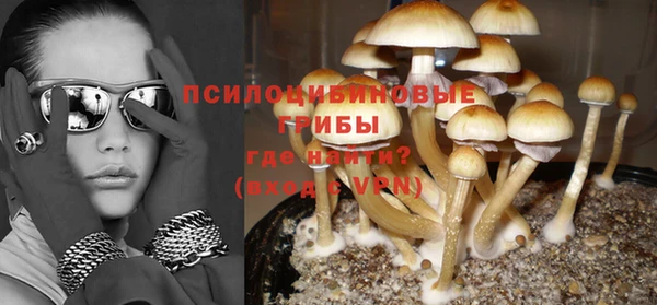 амф Сатка