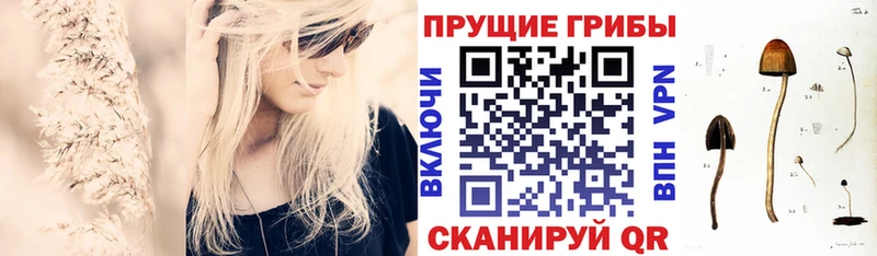 даркнет телеграм  Остров  Галлюциногенные грибы Psilocybe 
